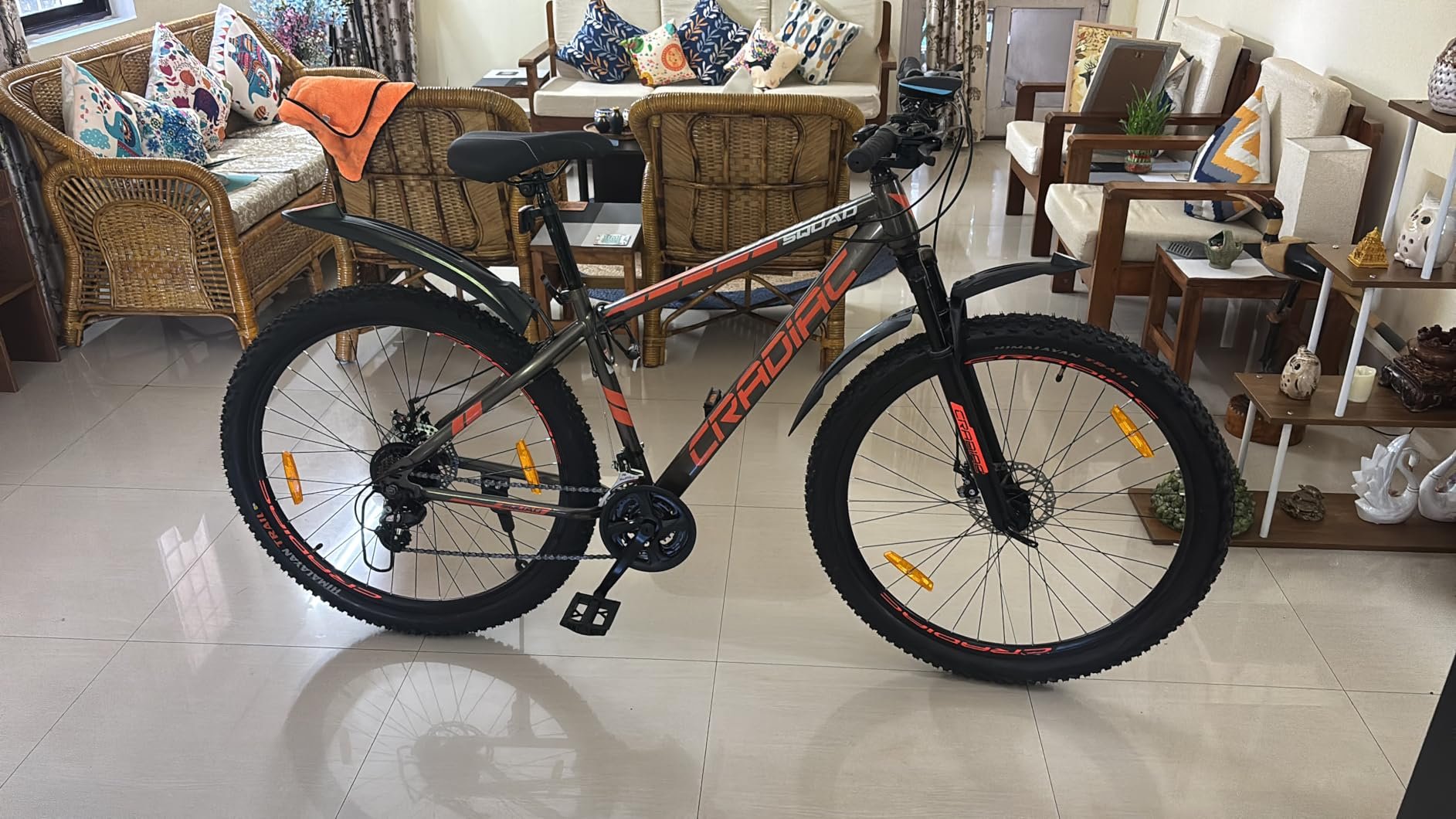 Mountain Bike - Well Maintained 