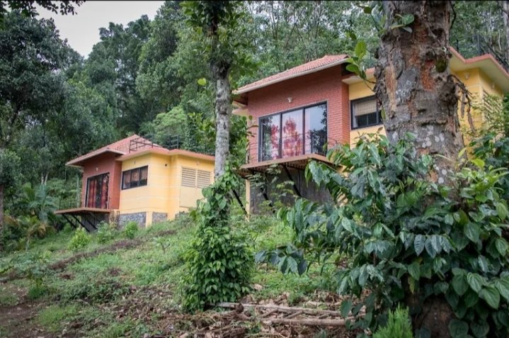 83 acres coffee and pepper farm  resort  sales  at kodaikanal hills  thandigudi  village 